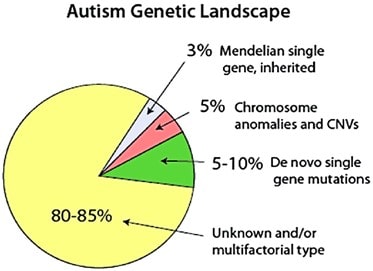 علل ژنتیکی اوتیسم