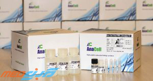 کیت استخراج RNA ویروسی آنافست - ANAFAST Viral RNA Extraction Kit