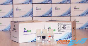 کیت استخراج DNA آناسل - AnaCell DNA Extraction Kit