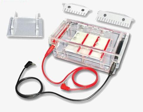 تانک الکتروفورز افقی HU-95 - ژل 7×10 و 7×5 با 10 تا 14 چاهک