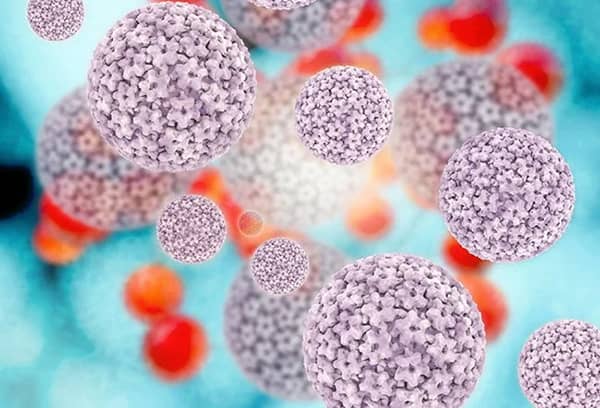 HPV یا ویروس زگیل تناسلی چیست؟ شرایط واکسن اچ پی وی، تشخیص و درمان بیماری