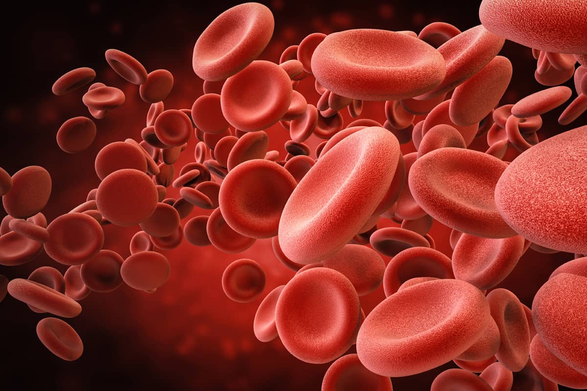 گلبول قرمز خون Red blood cells