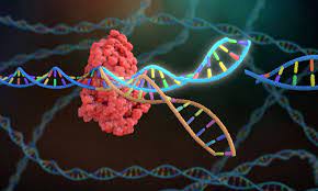 انواع مختلف سیستم CRISPR-cas و نقش آن در مواجهه با تهدید مقاومت آنتی بیوتیکی